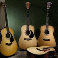 Guitarras acústicas